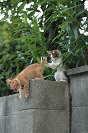 みわの写メ日記｜クラブオアシス 吉原大衆店ソープ