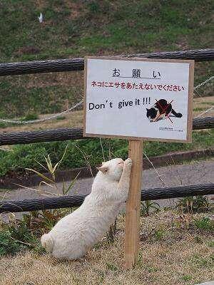 みわの写メ日記｜クラブオアシス 吉原大衆店ソープ