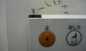 みわの写メ日記｜クラブオアシス 吉原大衆店ソープ