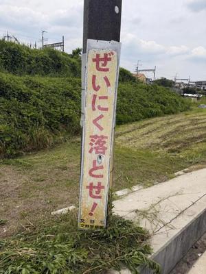 みわの写メ日記｜クラブオアシス 吉原大衆店ソープ
