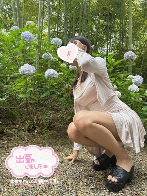 しもあの写メ日記｜コルドンブルー 吉原高級店ソープ