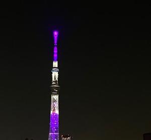 一ノ瀬　あやこの写メ日記｜エル・カーヒル 秘密の刻 川崎高級店ソープ