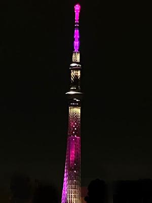 一ノ瀬　あやこの写メ日記｜エル・カーヒル 秘密の刻 吉原高級店ソープ
