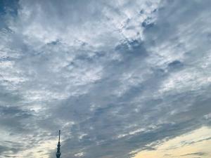 一ノ瀬　あやこの写メ日記｜エル・カーヒル 秘密の刻 吉原高級店ソープ