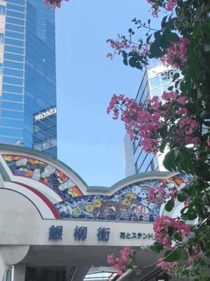一ノ瀬　あやこの写メ日記｜エル・カーヒル 秘密の刻 川崎高級店ソープ