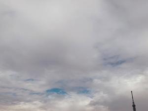 一ノ瀬　あやこの写メ日記｜エル・カーヒル 秘密の刻 吉原高級店ソープ