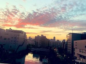 一ノ瀬　あやこの写メ日記｜エル・カーヒル 秘密の刻 川崎高級店ソープ