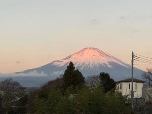 一ノ瀬　あやこの写メ日記｜エル・カーヒル 秘密の刻 吉原高級店ソープ