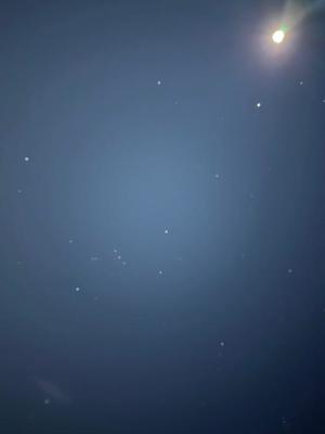 一ノ瀬　あやこの写メ日記｜エル・カーヒル 秘密の刻 吉原高級店ソープ