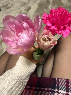 一ノ瀬　あやこの写メ日記｜エル・カーヒル 秘密の刻 川崎高級店ソープ