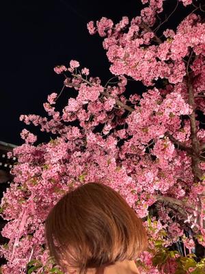 一ノ瀬　あやこの写メ日記｜エル・カーヒル 秘密の刻 吉原高級店ソープ