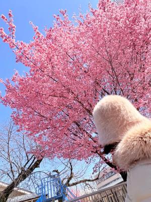 一ノ瀬　あやこの写メ日記｜エル・カーヒル 秘密の刻 川崎高級店ソープ