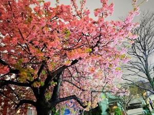 一ノ瀬　あやこの写メ日記｜エル・カーヒル 秘密の刻 川崎高級店ソープ