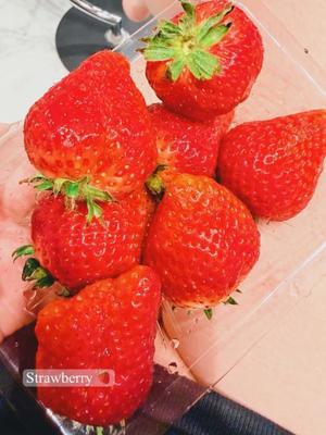 一ノ瀬　あやこの写メ日記｜エル・カーヒル 秘密の刻 吉原高級店ソープ