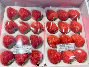 一ノ瀬　あやこの写メ日記｜エル・カーヒル 秘密の刻 吉原高級店ソープ