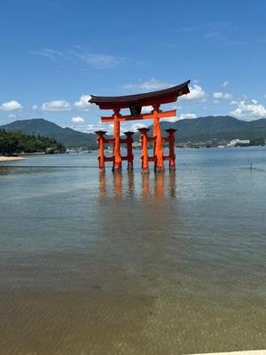 天使　つむぎの写メ日記｜エル・カーヒル 秘密の刻 吉原高級店ソープ