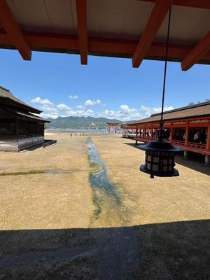 天使　つむぎの写メ日記｜エル・カーヒル 秘密の刻 吉原高級店ソープ