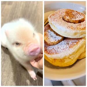 冴島　れいかの写メ日記｜エル・カーヒル 秘密の刻 吉原高級店ソープ