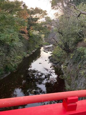 藤森　なおの写メ日記｜エル・カーヒル 秘密の刻 吉原高級店ソープ