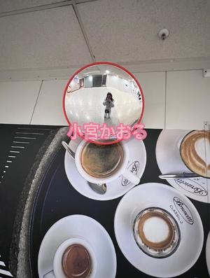 小宮　かおるの写メ日記｜エル・カーヒル 秘密の刻 吉原高級店ソープ