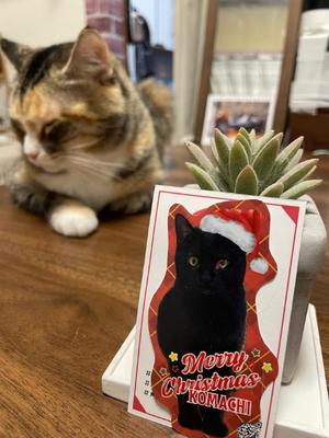 Chiaki Arimaの写メ日記｜エレガント 吉原高級店ソープ