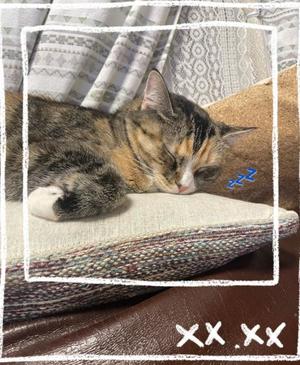 Chiaki Arimaの写メ日記｜エレガント 吉原高級店ソープ