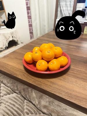 Chiaki Arimaの写メ日記｜エレガント 川崎高級店ソープ