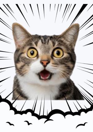 Chiaki Arimaの写メ日記｜エレガント 川崎高級店ソープ