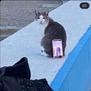 Chiaki Arimaの写メ日記｜エレガント 川崎高級店ソープ