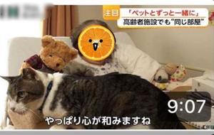 Chiaki Arimaの写メ日記｜エレガント 川崎高級店ソープ