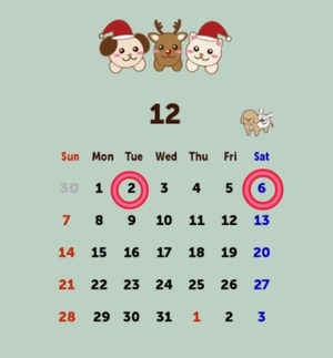 Reiko Igawaの写メ日記｜エレガント 川崎高級店ソープ