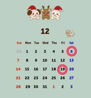 Reiko Igawaの写メ日記｜エレガント 川崎高級店ソープ