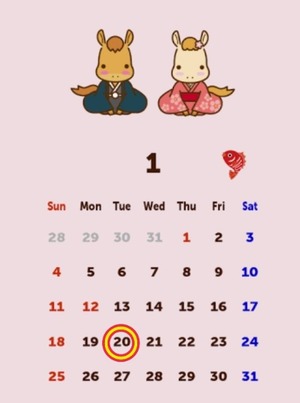 Reiko Igawaの写メ日記｜エレガント 川崎高級店ソープ