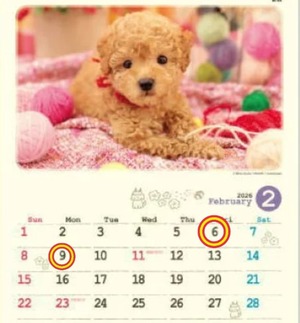 Reiko Igawaの写メ日記｜エレガント 吉原高級店ソープ