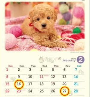 Reiko Igawaの写メ日記｜エレガント 川崎高級店ソープ