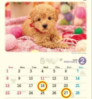 Reiko Igawaの写メ日記｜エレガント 川崎高級店ソープ