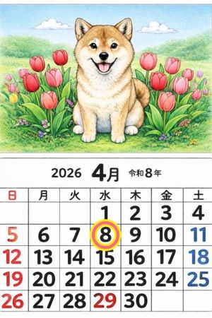 Reiko Igawaの写メ日記｜エレガント 吉原高級店ソープ