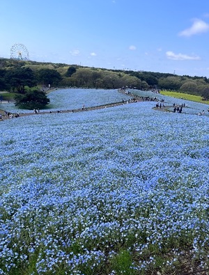 Misaki Arimuraの写メ日記｜エレガント 吉原高級店ソープ