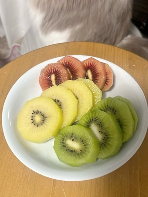 Akane Niikuraの写メ日記｜エレガント 吉原高級店ソープ