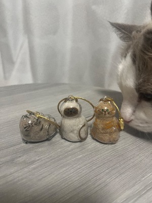 Akane Niikuraの写メ日記｜エレガント 川崎高級店ソープ