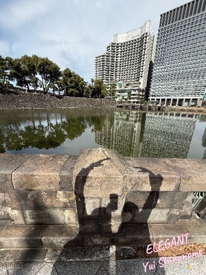 Yui Shinonomeの写メ日記｜エレガント 吉原高級店ソープ