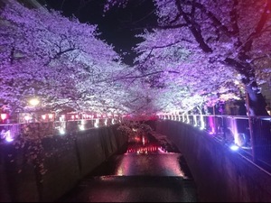 Kanon Soumaの写メ日記｜エレガント 川崎高級店ソープ