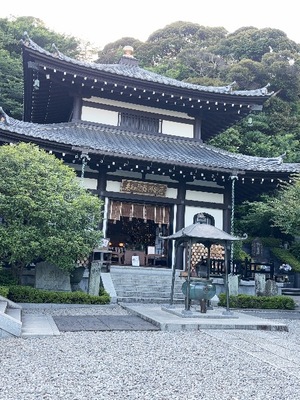 Yu Shiraneの写メ日記｜エレガント 吉原高級店ソープ