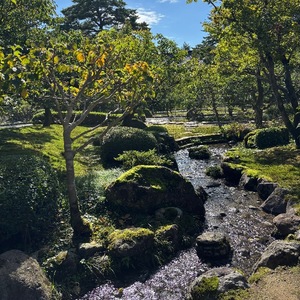 Yu Shiraneの写メ日記｜エレガント 吉原高級店ソープ