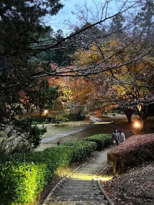 Yu Shiraneの写メ日記｜エレガント 吉原高級店ソープ