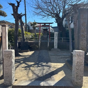 Yu Shiraneの写メ日記｜エレガント 吉原高級店ソープ