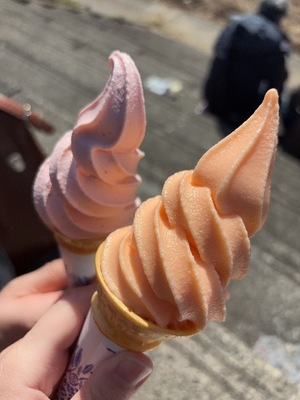 Yu Shiraneの写メ日記｜エレガント 吉原高級店ソープ