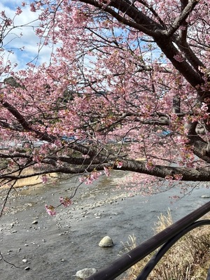 Yu Shiraneの写メ日記｜エレガント 吉原高級店ソープ