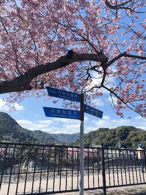 Yu Shiraneの写メ日記｜エレガント 吉原高級店ソープ