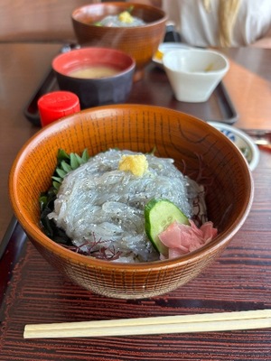 Yu Shiraneの写メ日記｜エレガント 吉原高級店ソープ